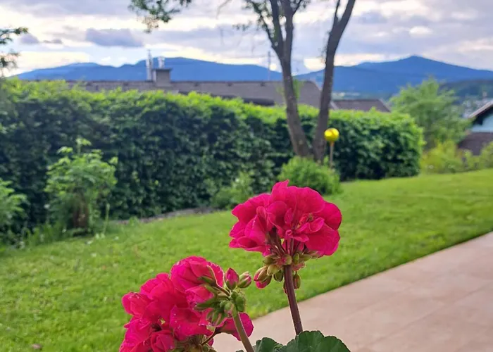 Ferienoase Berg & * Feldkirchen in Kärnten