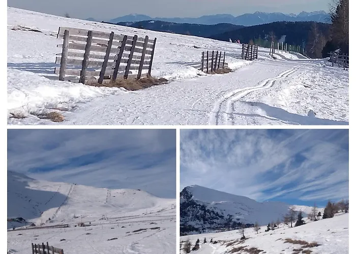 Apartament Ferienoase Berg &